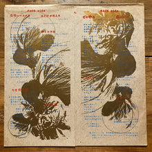画像をギャラリービューアに読み込む, Luna Park Ensemble – 虫喰いマンダラ (LP)