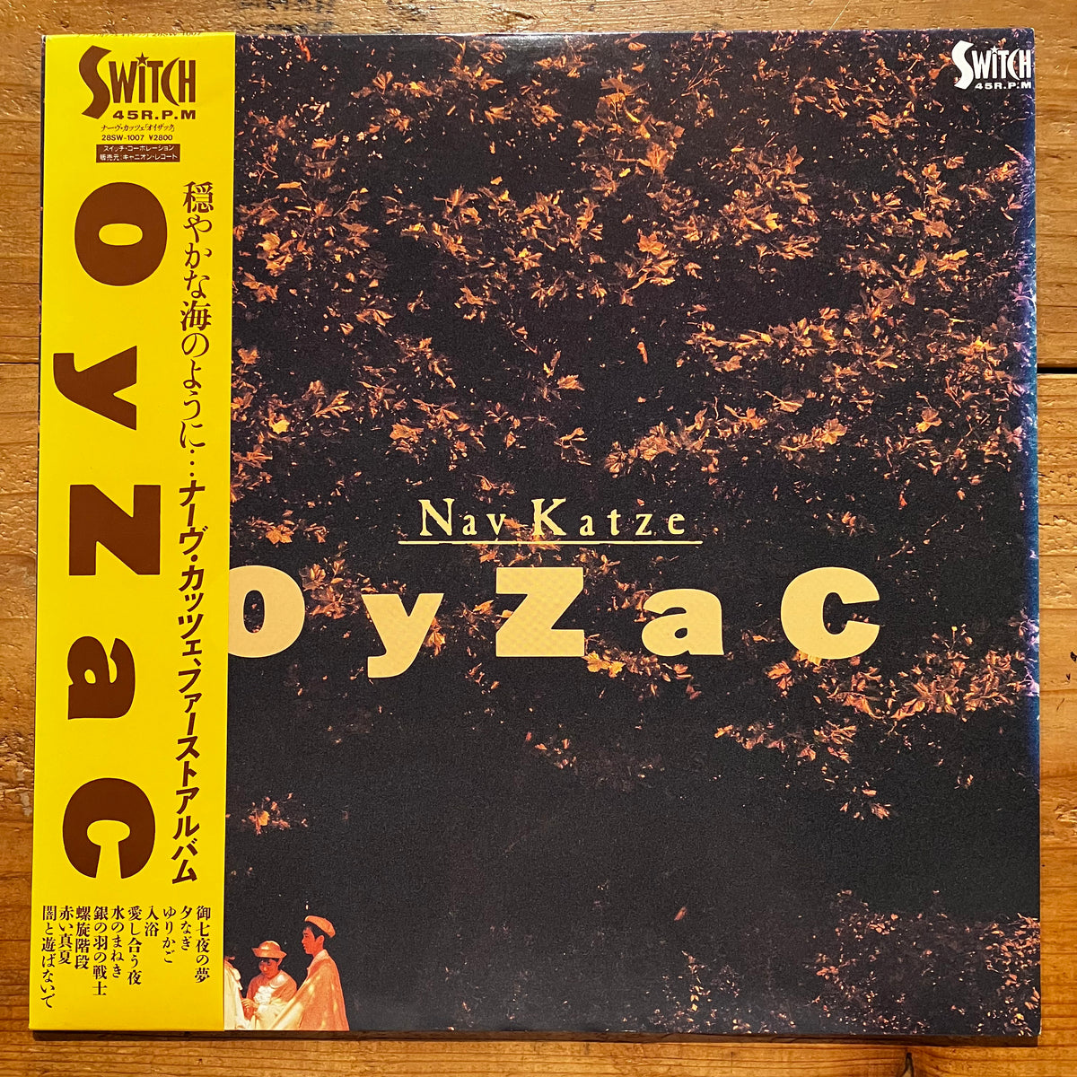 Nav Katze – Oyzac (LP) – pianola records