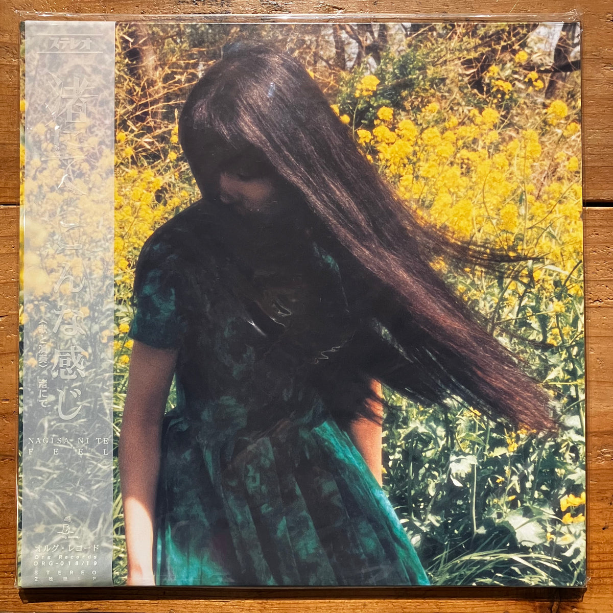 渚にて Nagisa Nite - こんな感じ Feel (2LP) – pianola records