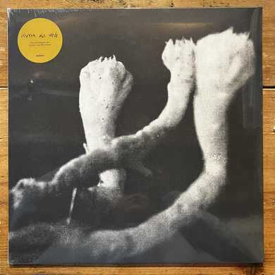 Lauten Der Seele - Unterhaltungen Mit Larven Und Uberresten (LP)