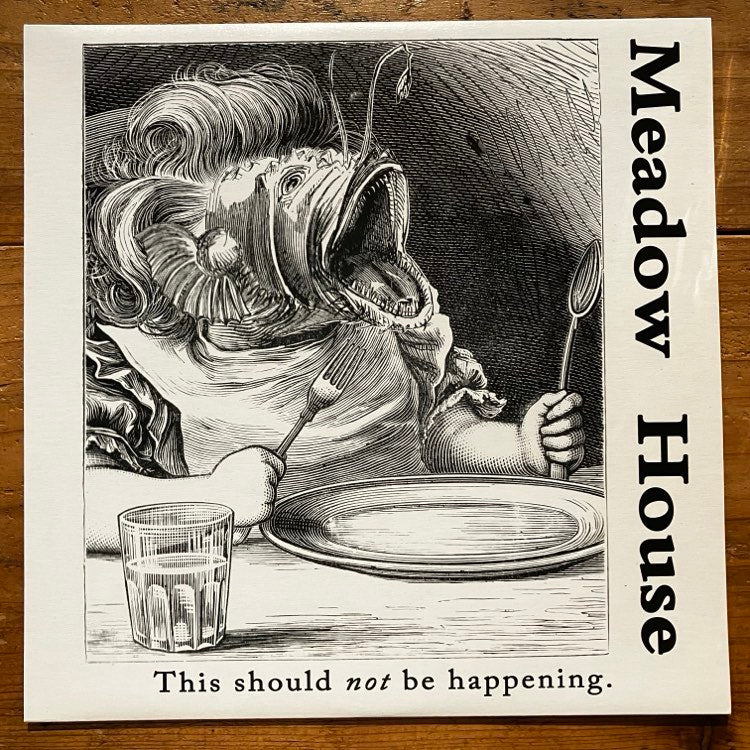 Meadow House - This Should Not Be Happening (LP)