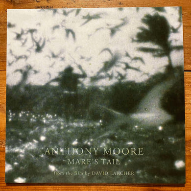 【予約】Anthony Moore - Mare's Tail (LP)