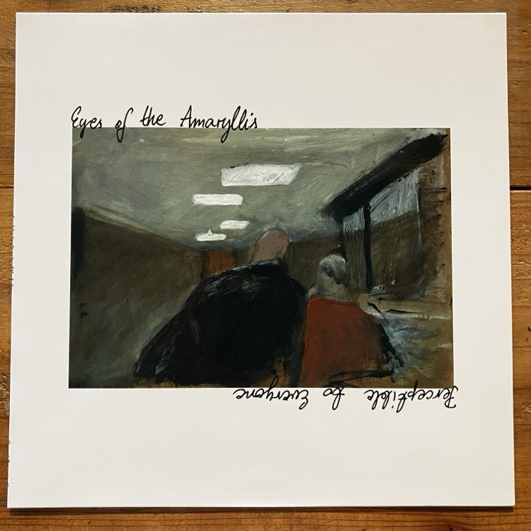 Eyes of the Amarylis - Perceptible to Everyone (LP)