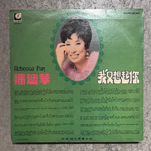 Load image into Gallery viewer, Rebecca Pan – 我又想起你 (LP)