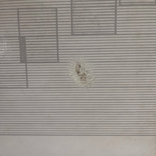 画像をギャラリービューアに読み込む, Various – Computer-Musik (LP)