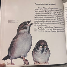 画像をギャラリービューアに読み込む, Various – Computer-Musik (LP)