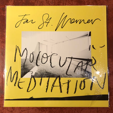 Jan St. Werner – Molocular Meditation (LP)