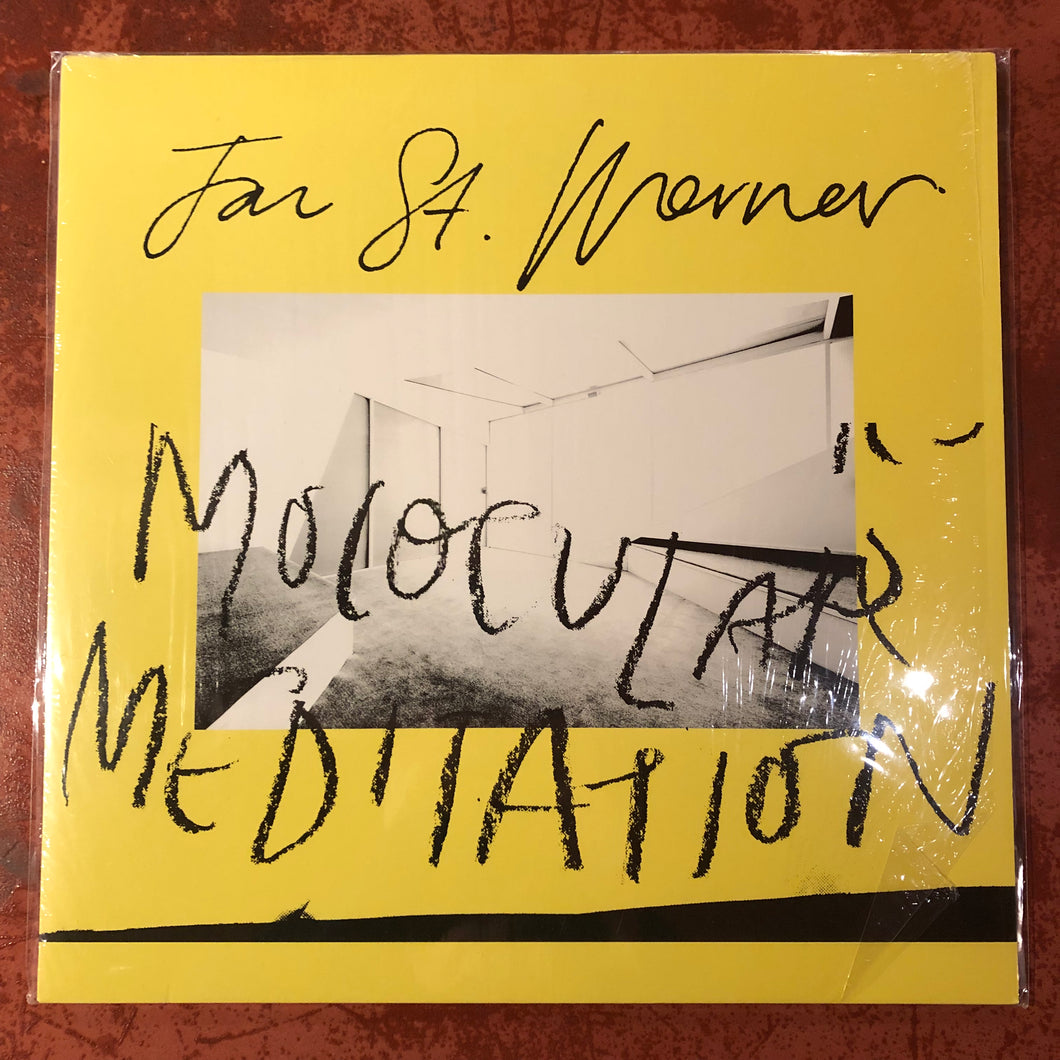 Jan St. Werner – Molocular Meditation (LP)