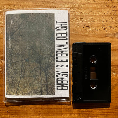 Siegmar Fricke / A Thunder Orchestra - Energy is Eternal Delight (TAPE)