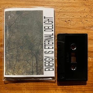 Siegmar Fricke / A Thunder Orchestra - Energy is Eternal Delight (TAPE)