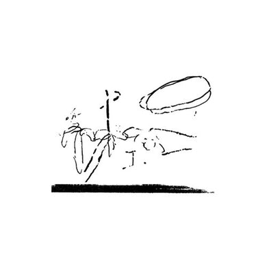 【予約】takako minekawa - traces of the ceiling (LP)