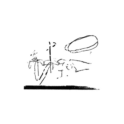 【予約】takako minekawa - traces of the ceiling (LP)