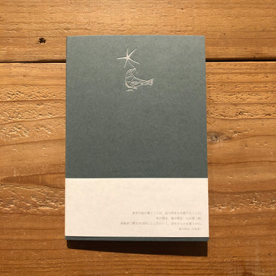 星形の庭 - 距離を含んだ色彩について (CD)