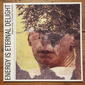 Siegmar Fricke / A Thunder Orchestra - Energy Is Eternal Delight (LP)