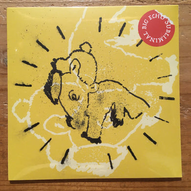 V.A. - Subliminal Big Echo (CD)
