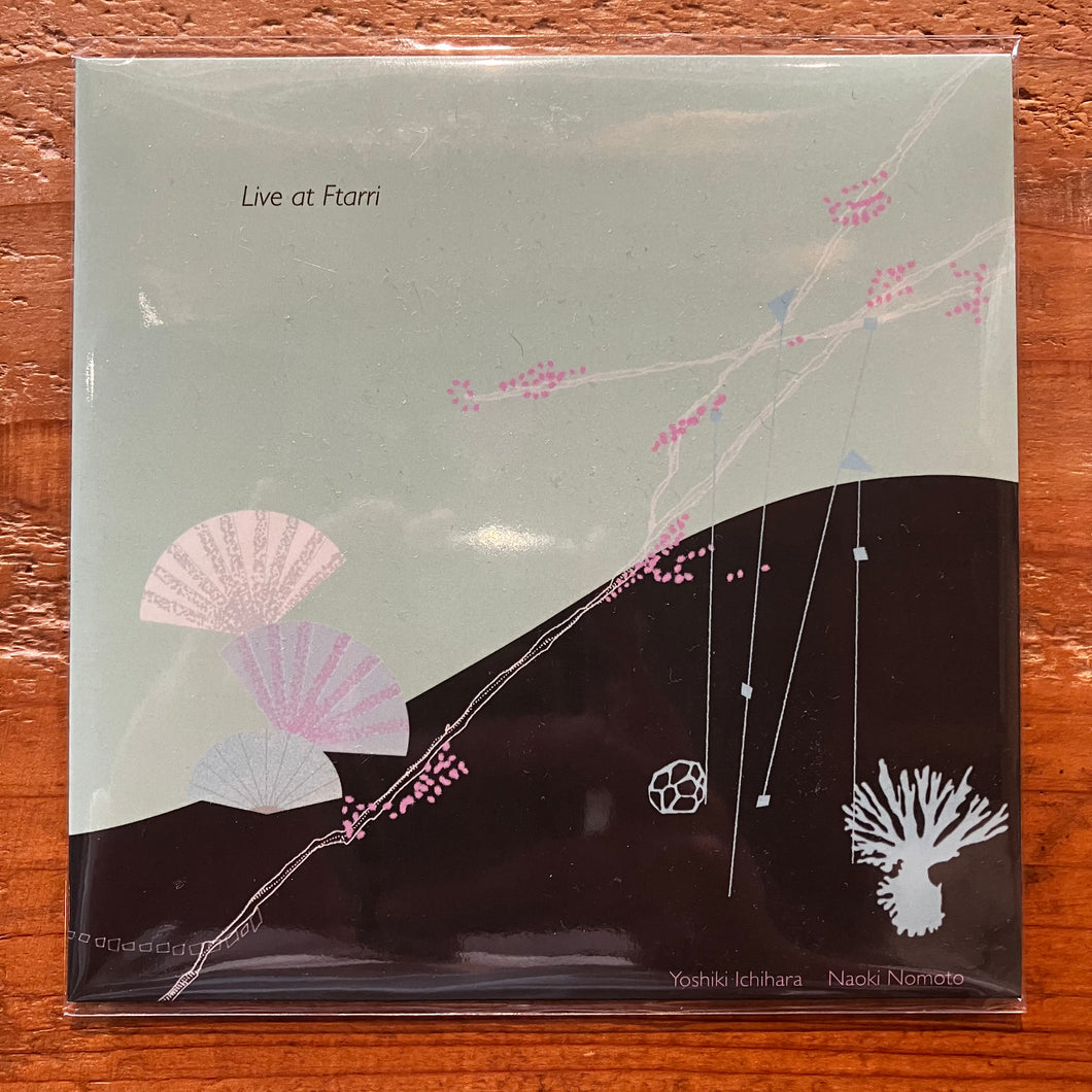 Yoshiaki Ichihara / Naoki Nomoto - Live at Ftarri (CD)