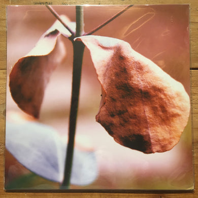 RIKI HIDAKA + JIM O' ROURKE + EIKO ISHIBASHI - 置大石(LP)