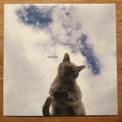 NUBACK - When The Party Is Over(7inch)
