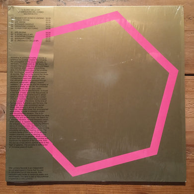 Walter Maioli - Il Suono Delle Api / La Vibrazione Del Cosmo(LP)