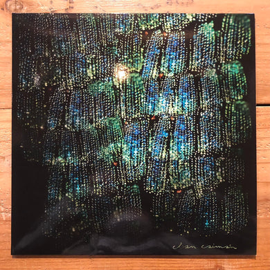 Clan Caiman - Asoma (LP)